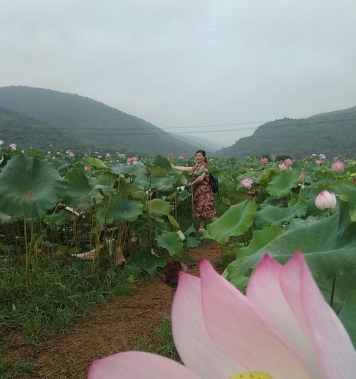 回味童年，依旧香甜——那些年我们一起追逐的梦想