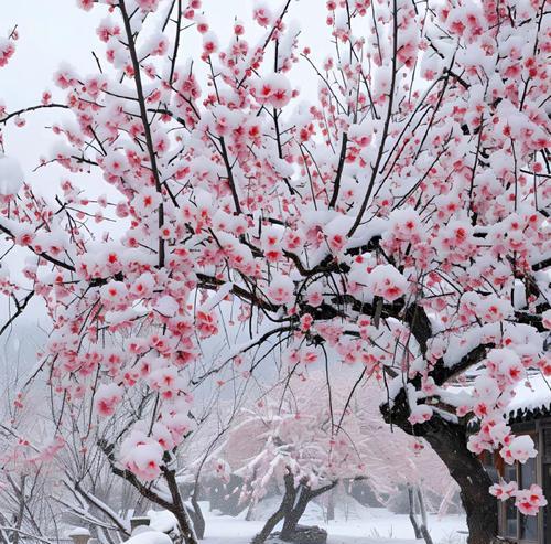 白雪皑皑，天地一色（一个人的雪中探险）