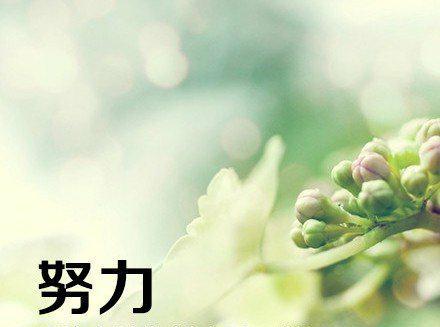 追寻彼岸的勇气（只要足够努力和坚持，迎接未知的挑战）