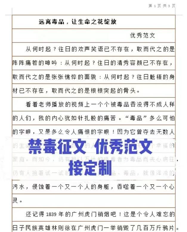 禁毒路上的守护者（一场没有硝烟的战争）
