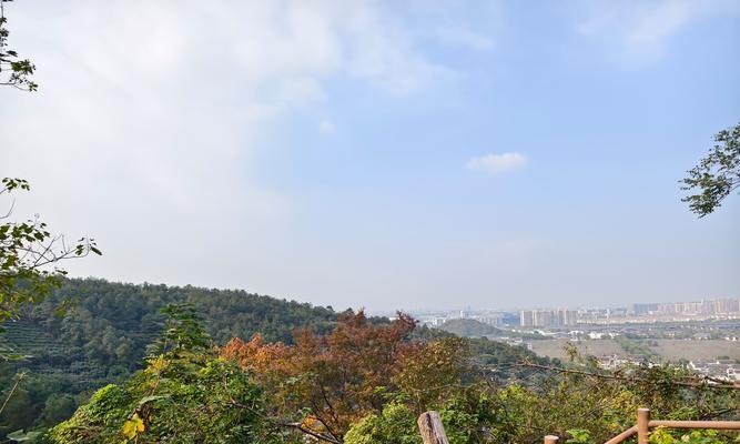 匠心瑰宝——探寻大自然的神奇世界